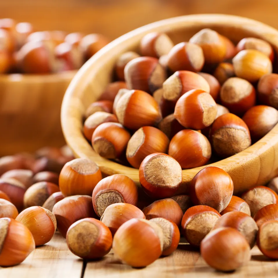 Haselnussanbau: Erfolg mit Wissen, Erfahrung und Mechanisierung