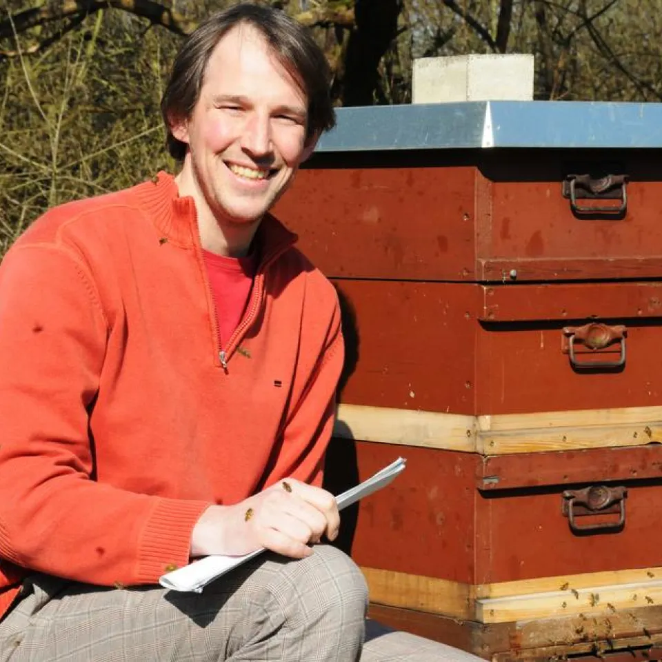 Bienenzucht im Labor – ein Meilenstein für die Bienenforschung