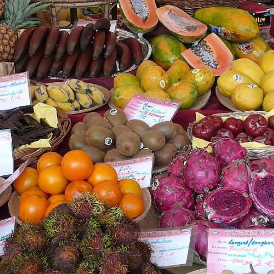 Lebensmittelsicherheit in Europa