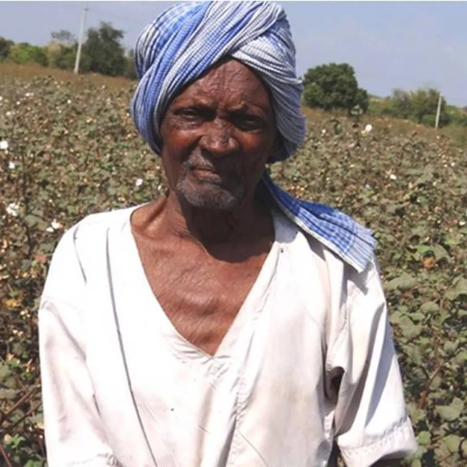 Mehr Erträge – mehr Einkommen – mehr Wohlstand für Baumwollbauern in Indien