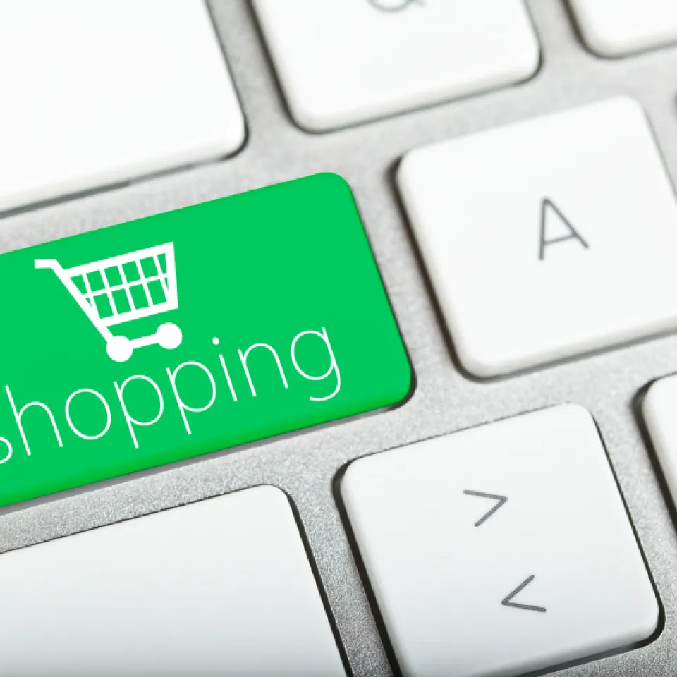 Der globale Pflanzenhandel via Internet boomt