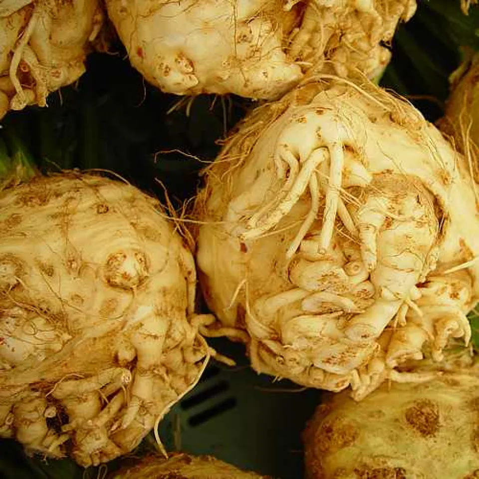 Mit natürlichen Giften leben