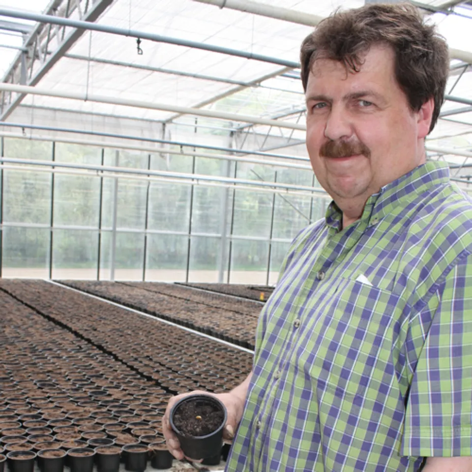 Farben, Formen, Muster und Größen - der Kürbis beeindruckt durch seine Vielfalt 