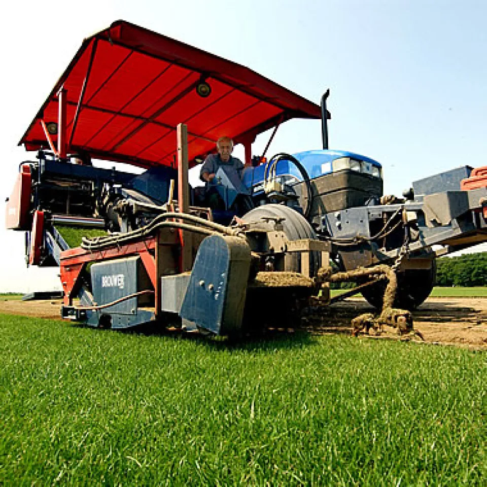 Fertigrasen für den Confederations Cup - nicht ohne Dünger 
