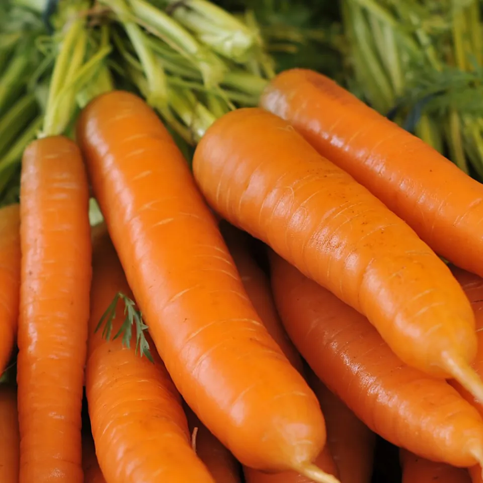 Möhren: Besser gekocht als roh essen