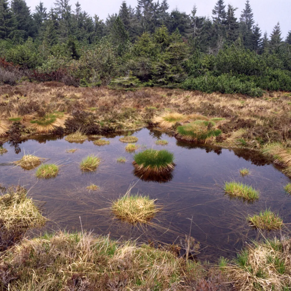 Am 5. Dezember ist Weltbodentag