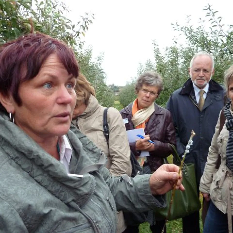 Lehrer geben Fortbildung gute Noten