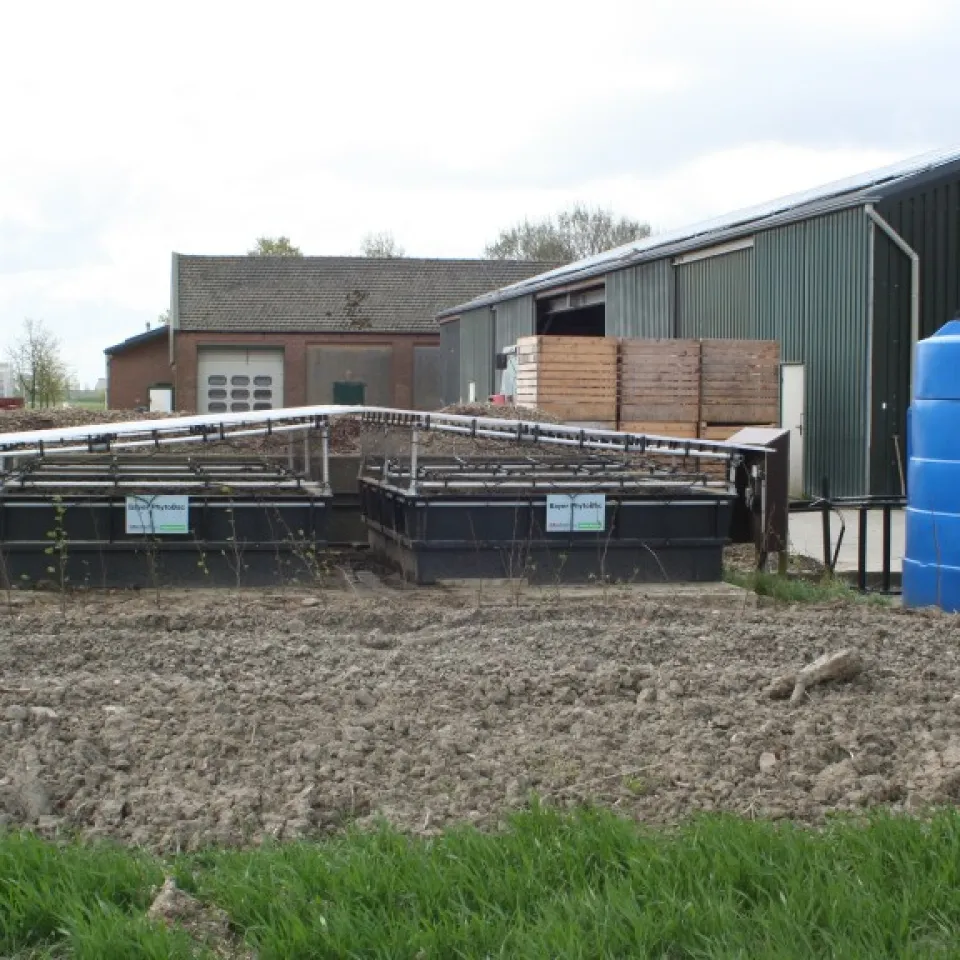 Phytobac für sauberes Wasser: Mikroorganismen reinigen Restflüssigkeiten