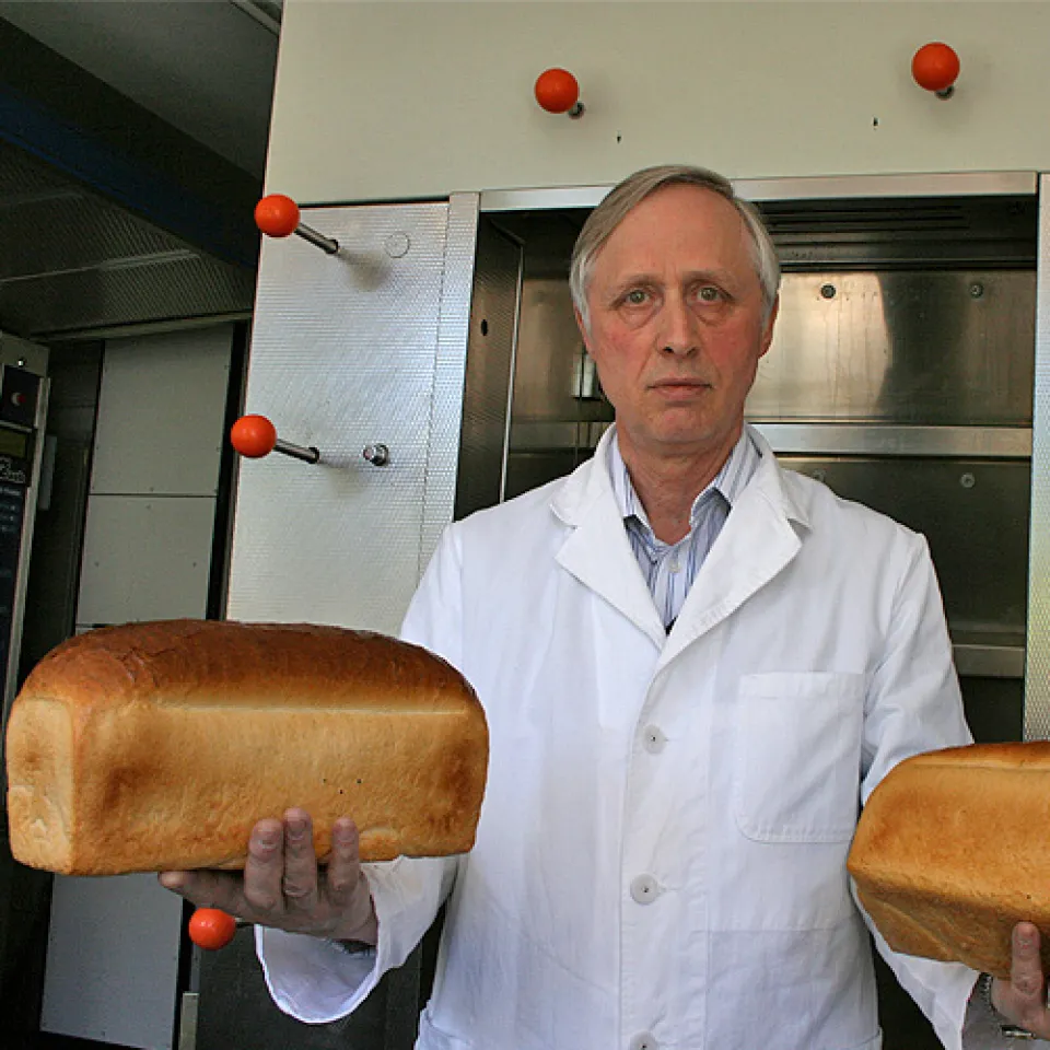 Sortenvielfalt: 113 Weichweizensorten sorgen für gleich bleibend hohe Mehlqualität.