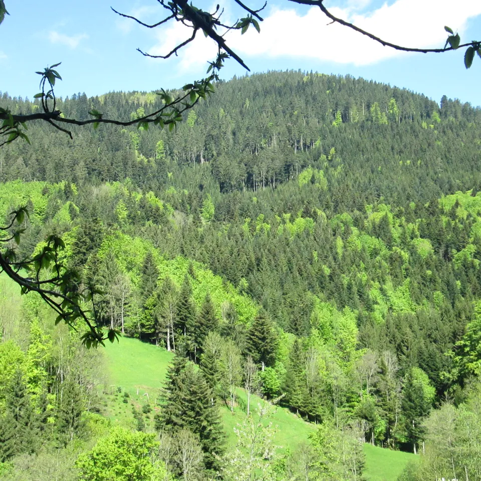 Der Patient ist ein wenig gesünder geworden