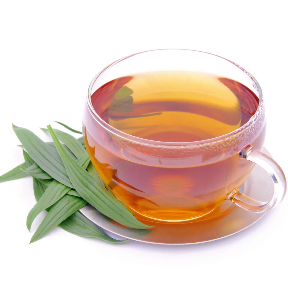 Spitzwegerich ist "Arzneipflanze des Jahres 2014"