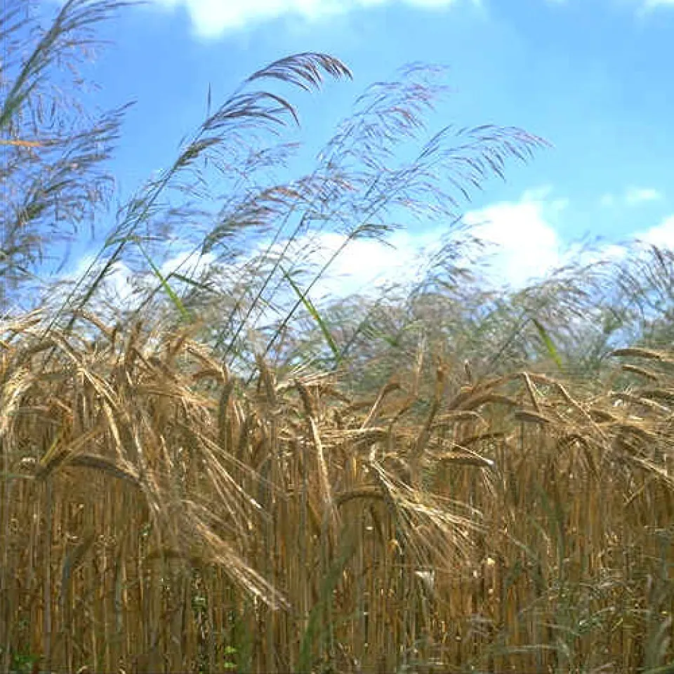 Zahlen, Daten, Fakten 5/05