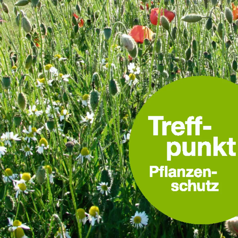 IVA: „Mit einfachen Mitteln die Nachhaltigkeit steigern“