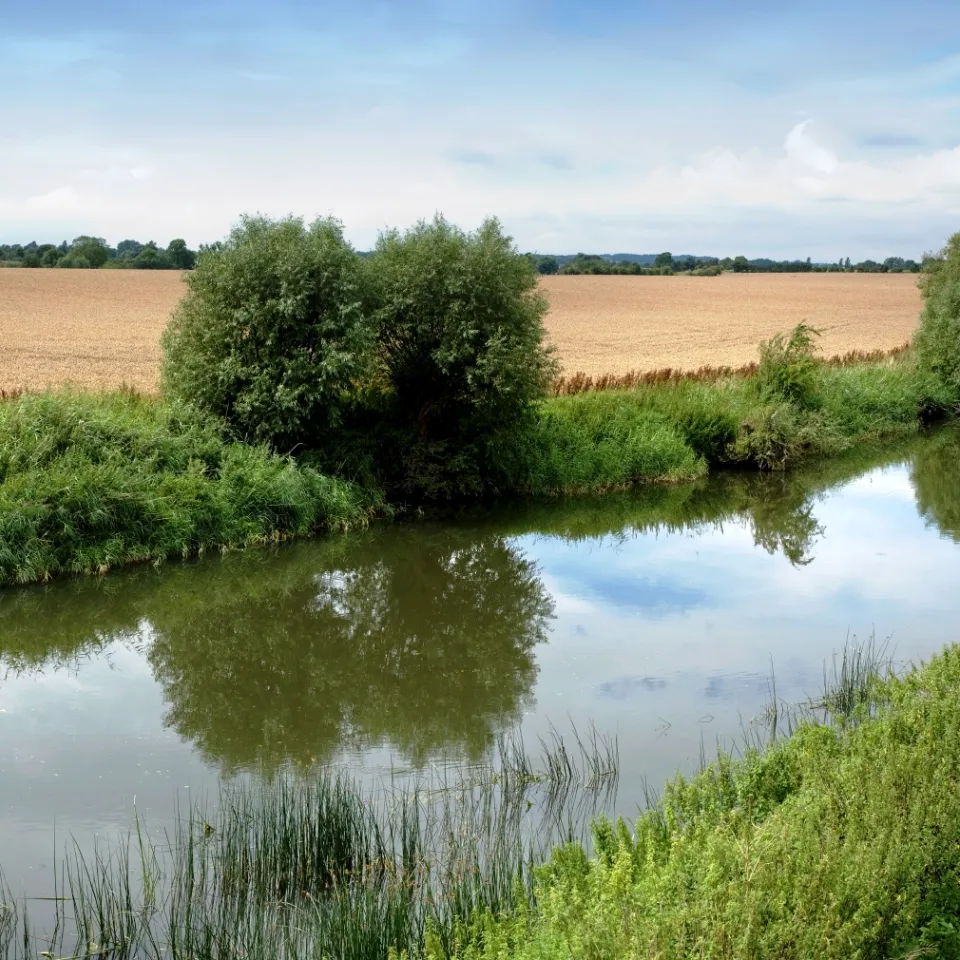 IVA deckt viele Mängel in Gewässer-Studie auf