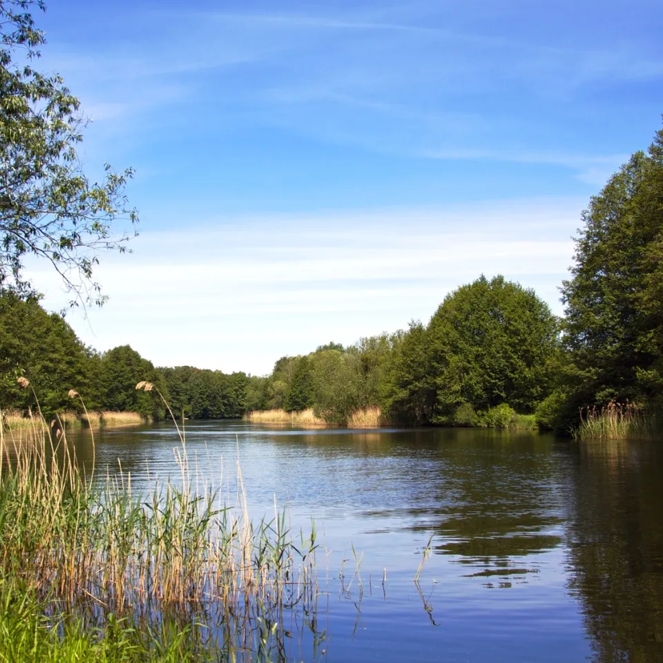 IVA: Landwirte fit machen für den Gewässerschutz