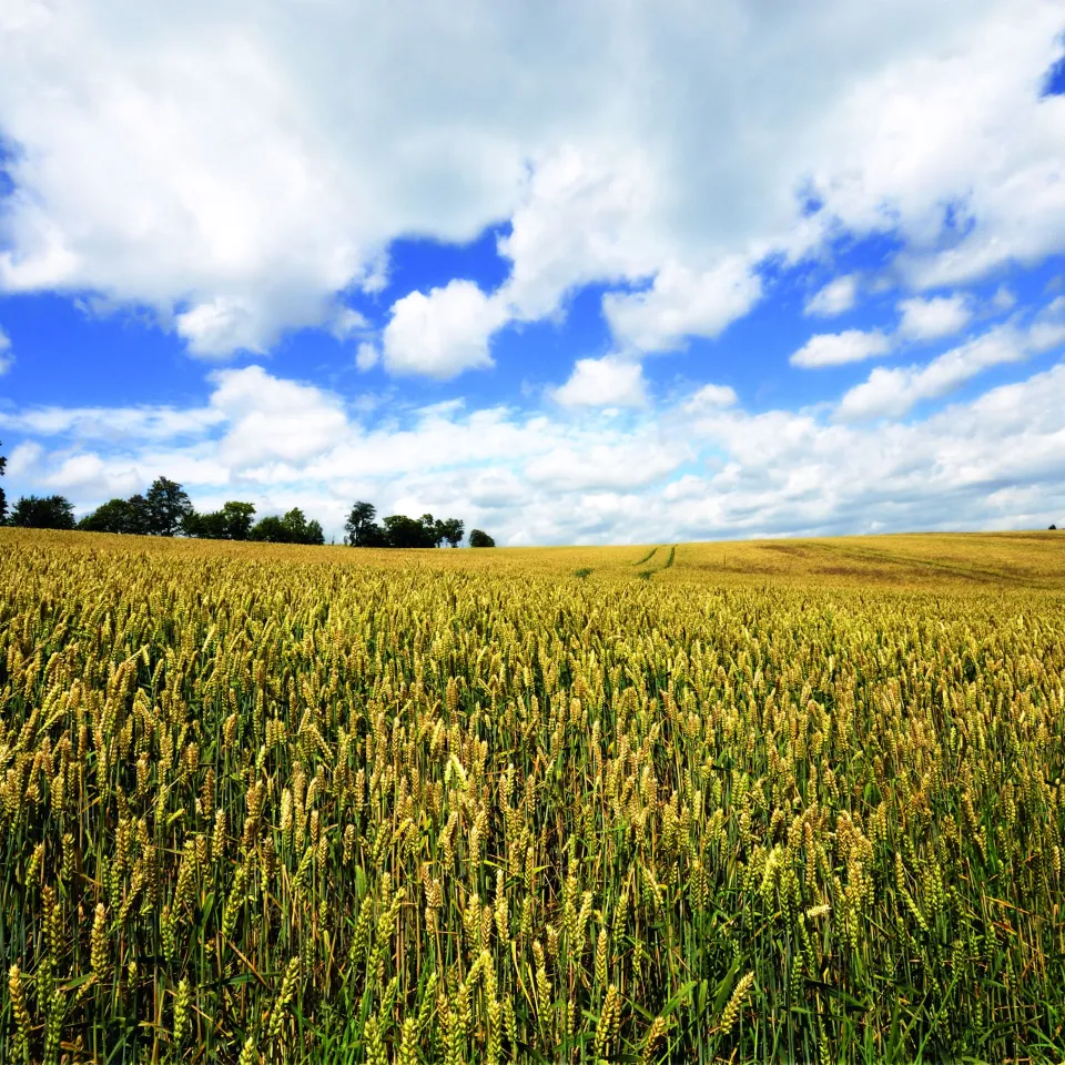 "Deutschland muss Motor in Europa werden"